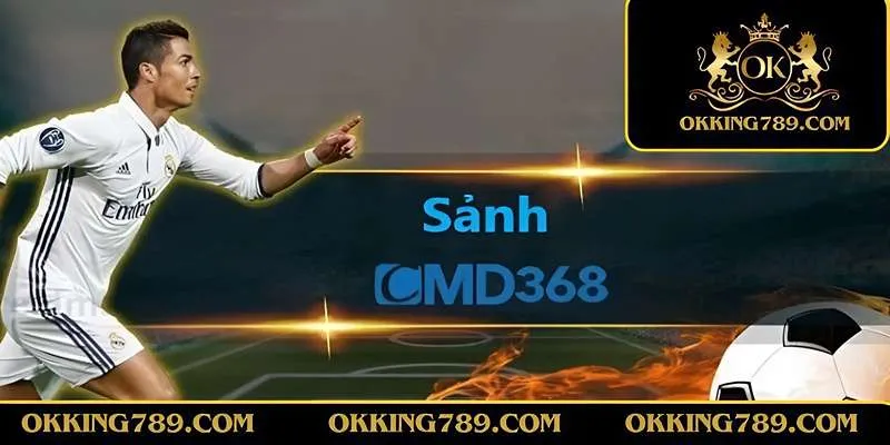 Tổng quan về CMD 368