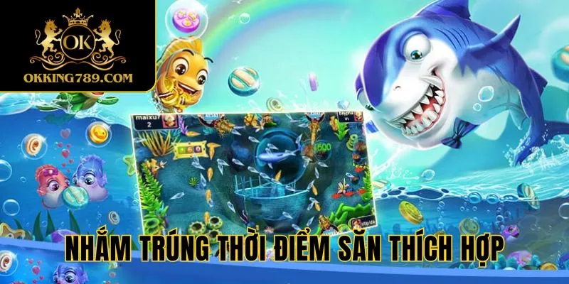 Nhắm đúng thời điểm để săn được nhiều