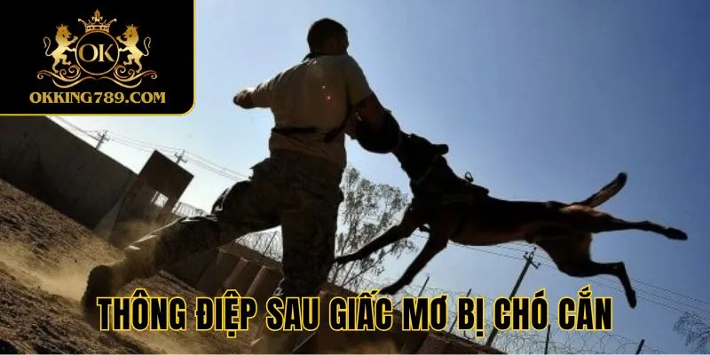 Thông điệp sau từng giấc mơ bị chó cắn